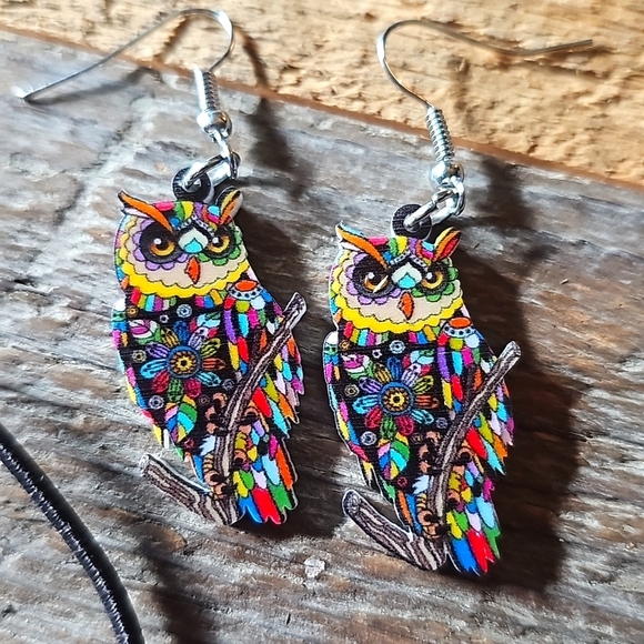 Multicolor Resin Owl Earrings with Black Elastic Bracelet - Picture 1 of 2